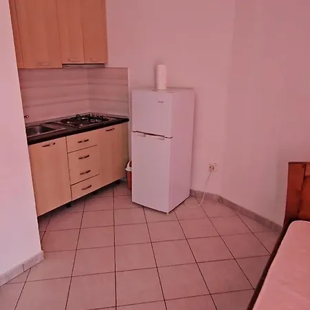 Dle Murtic Shëngjin