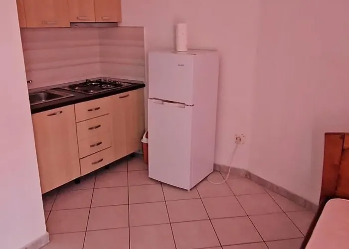 Dle Murtic Shëngjin